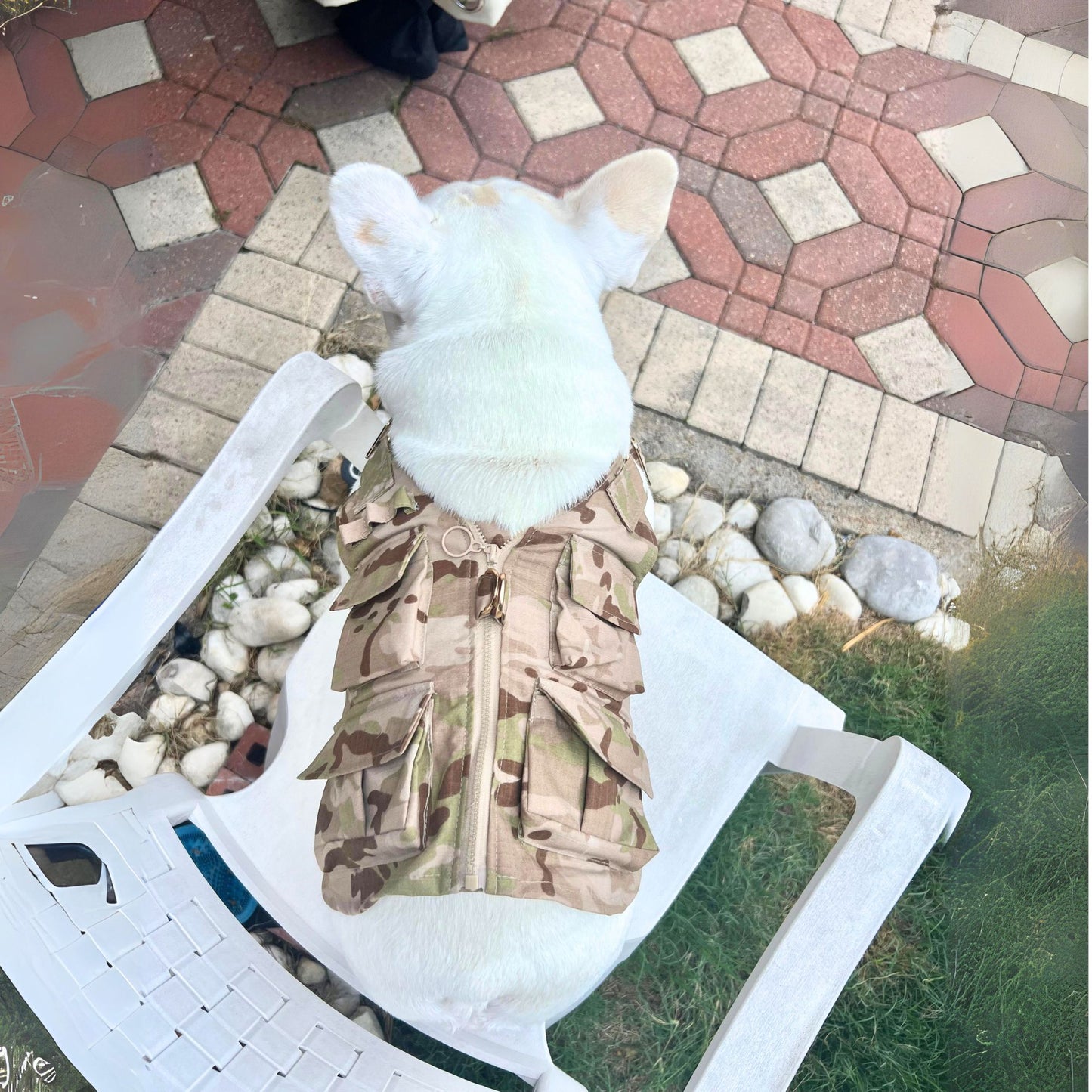 Camo Tactical Dog Cat Pet Vest with Leash Hook