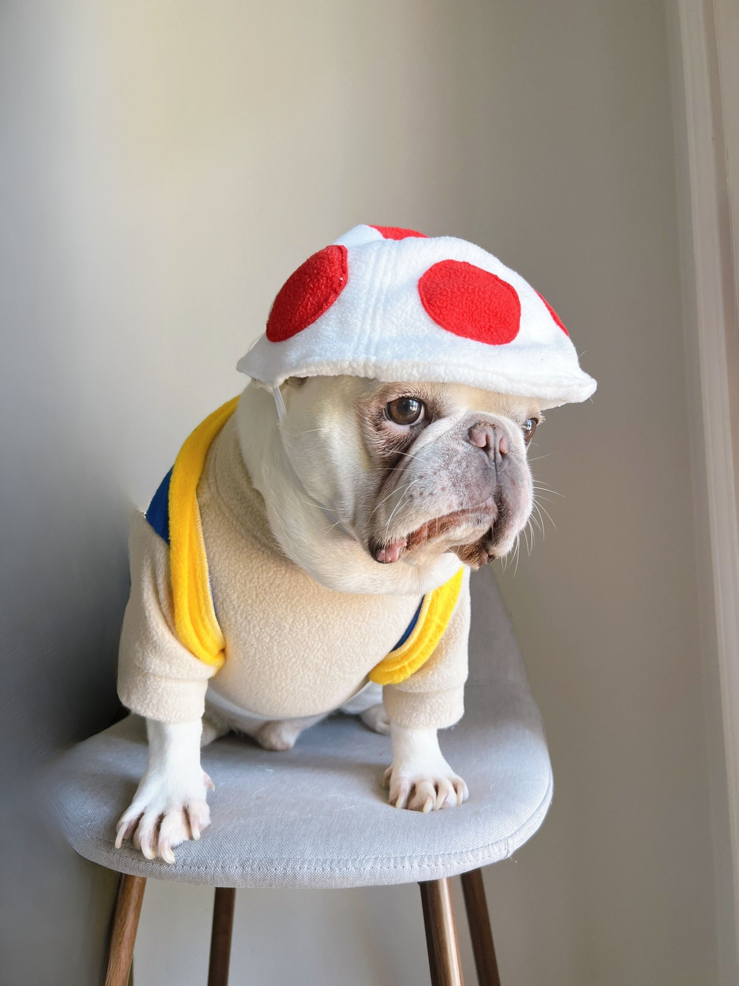 Super Mushroom Power Up Dog Cat Pet Halloween Costume