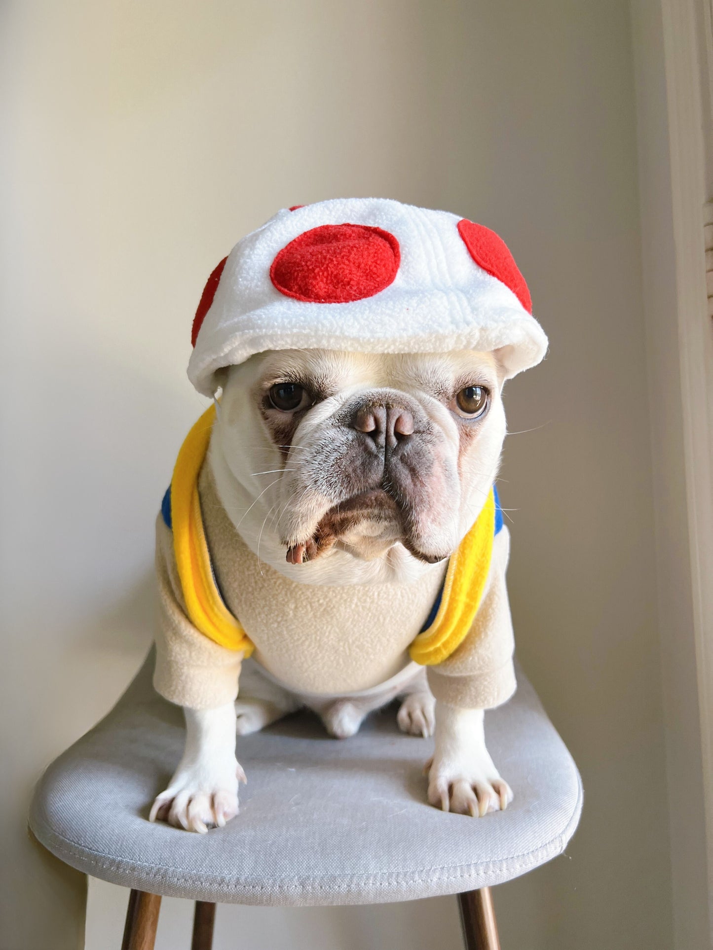 Super Mushroom Power Up Dog Cat Pet Halloween Costume