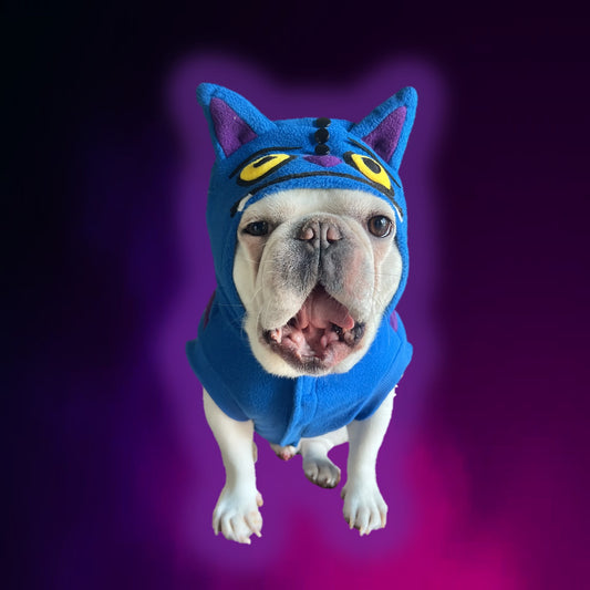 Cheshire Cat Derpy Tiger Huntrix Pet Costume