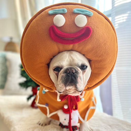 Christmas Gingerbread Man Costume