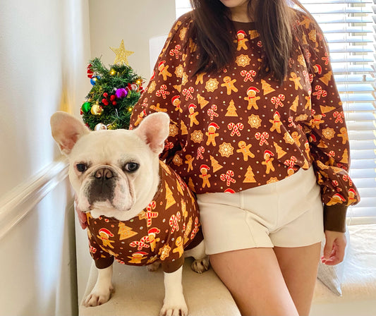 Holidays Gingerbread Owner and Pet Matching Set