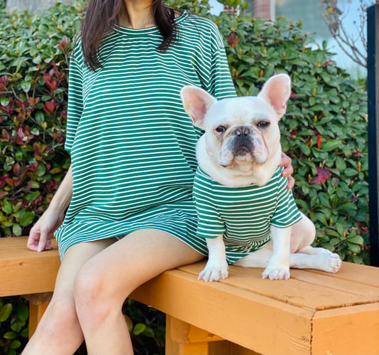 Green White Striped Owner and Pet Matching Set