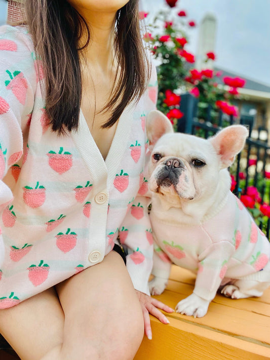 Peach Nectarine Spring Vibes Owner Cardigan and Pet Sweater Matching Set