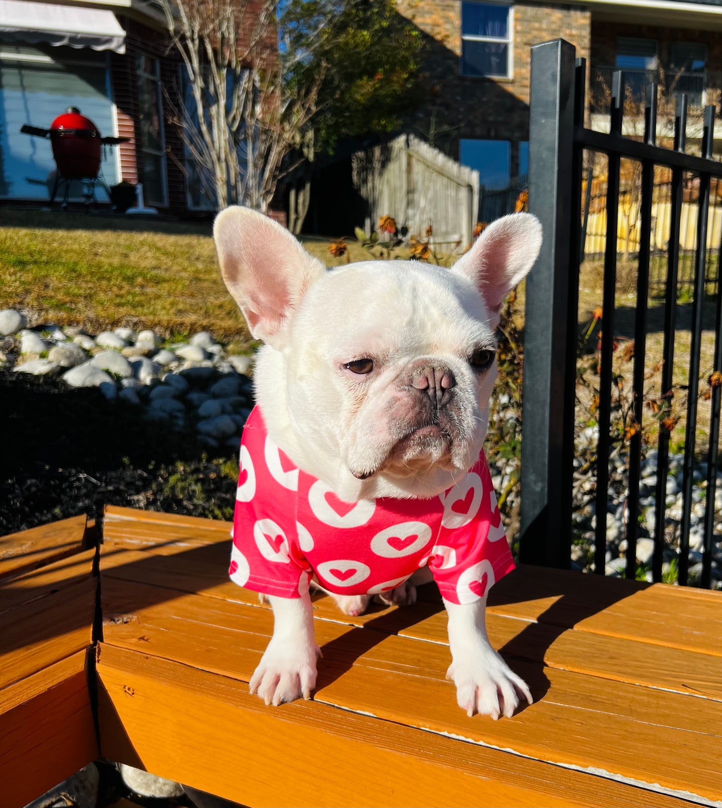 Valentine Heart Print Owner and Pet Matching Set