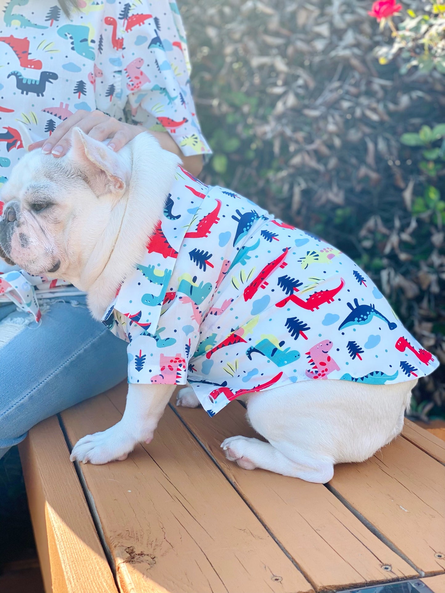Dinosaurs Print Owner and Pet Matching Button Shirt / Bandana