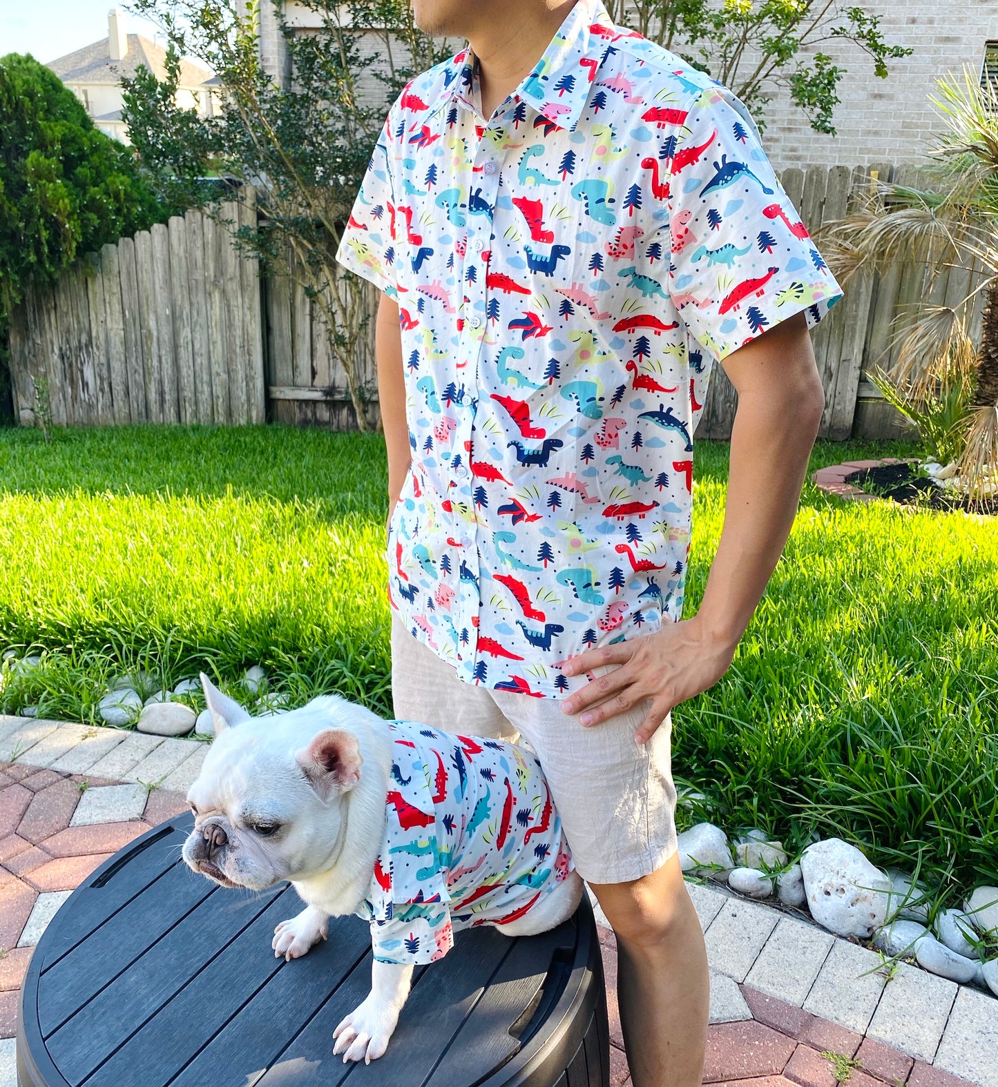 Dinosaurs Print Owner and Pet Matching Button Shirt / Bandana