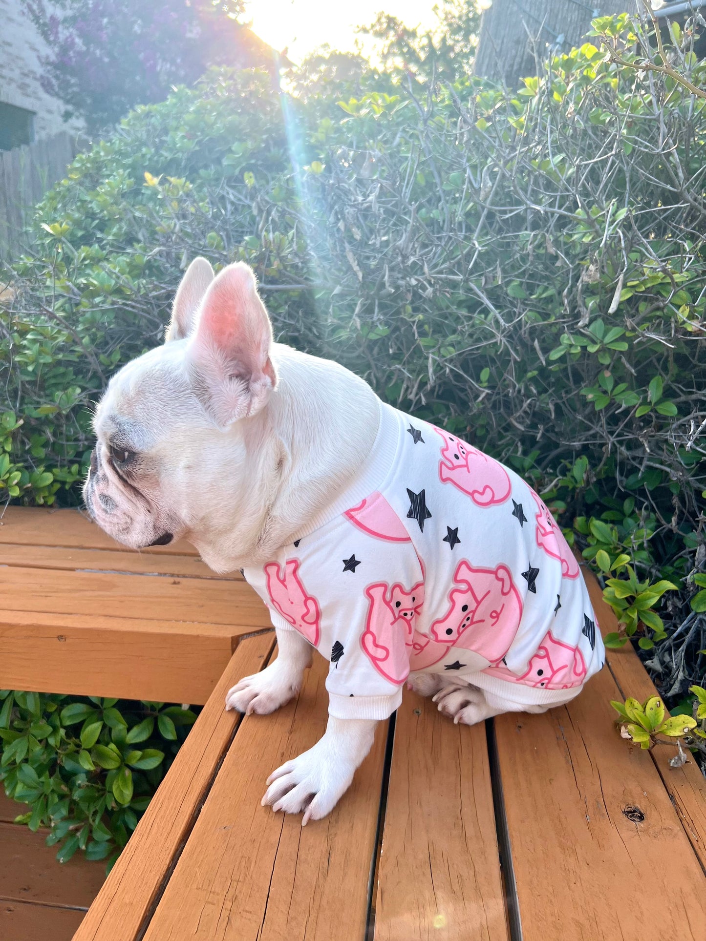 Cheeky Pig Butts Owner and Pet Family Matching Set