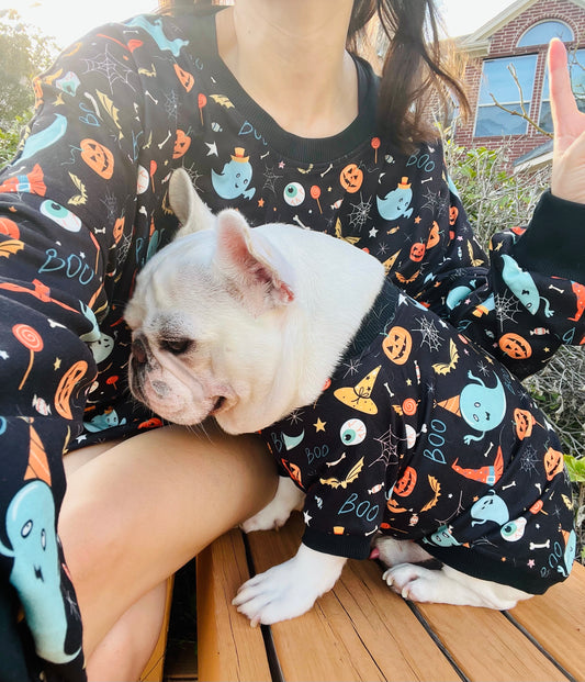 Halloween Spooky Ghost and Pumpkin Owner and Pet Matching Set
