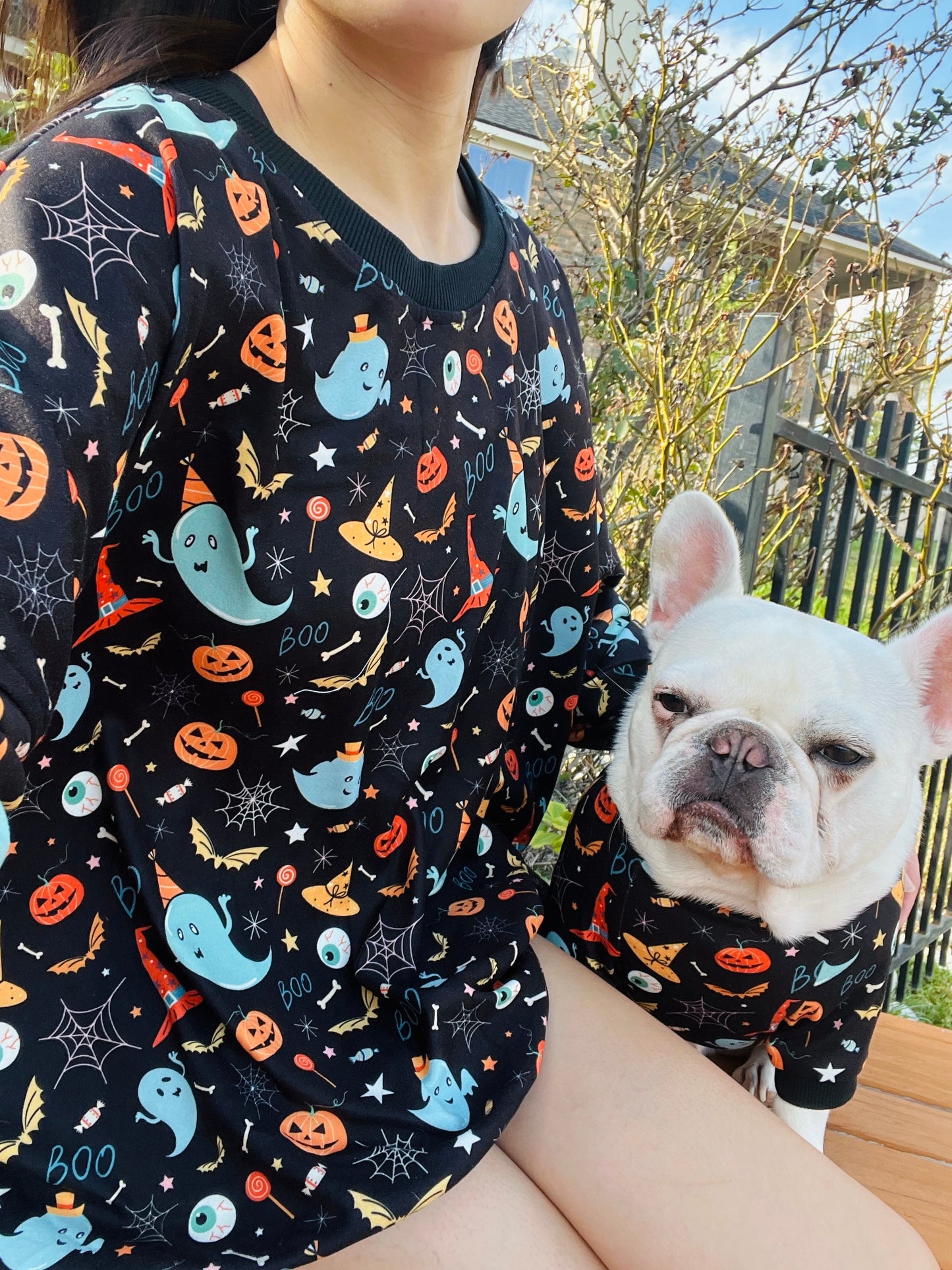 Halloween Spooky Ghost and Pumpkin Owner and Pet Matching Set