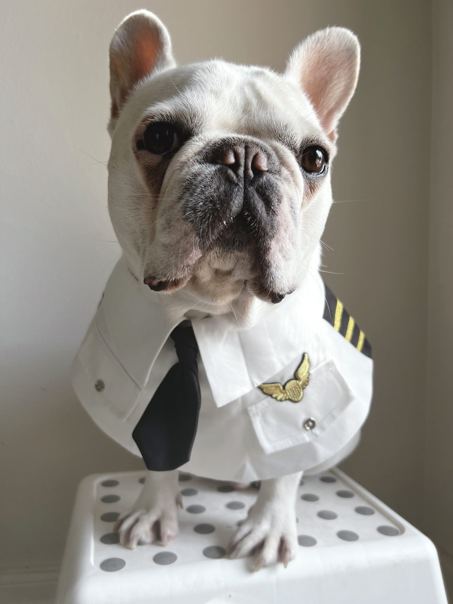 Pilot White Bandana Bib