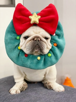 Christmas Tree Big Ribbon Bow Star Mascot Hat