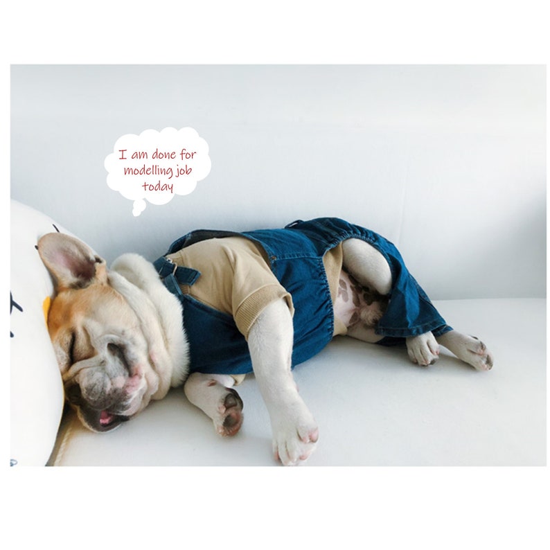 Classic Cowboy Overall with White Tee