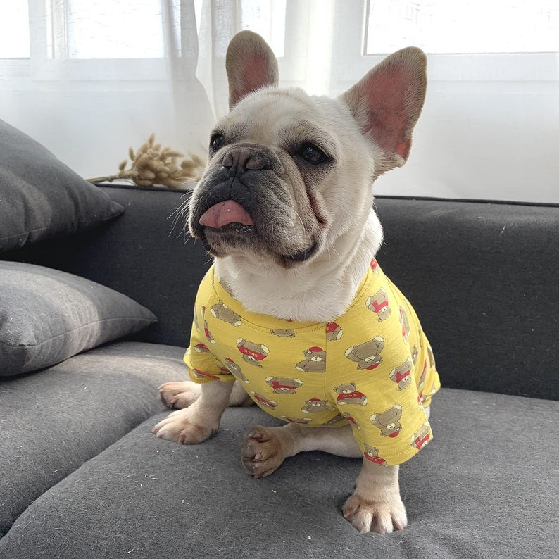 Matching Pet Owner Set Pets Cat Dog Parent, Lightweight Yellow Teddy Bear Print Clothing Tee Tshirt, Dog Cat Parents Matching shirts outfits