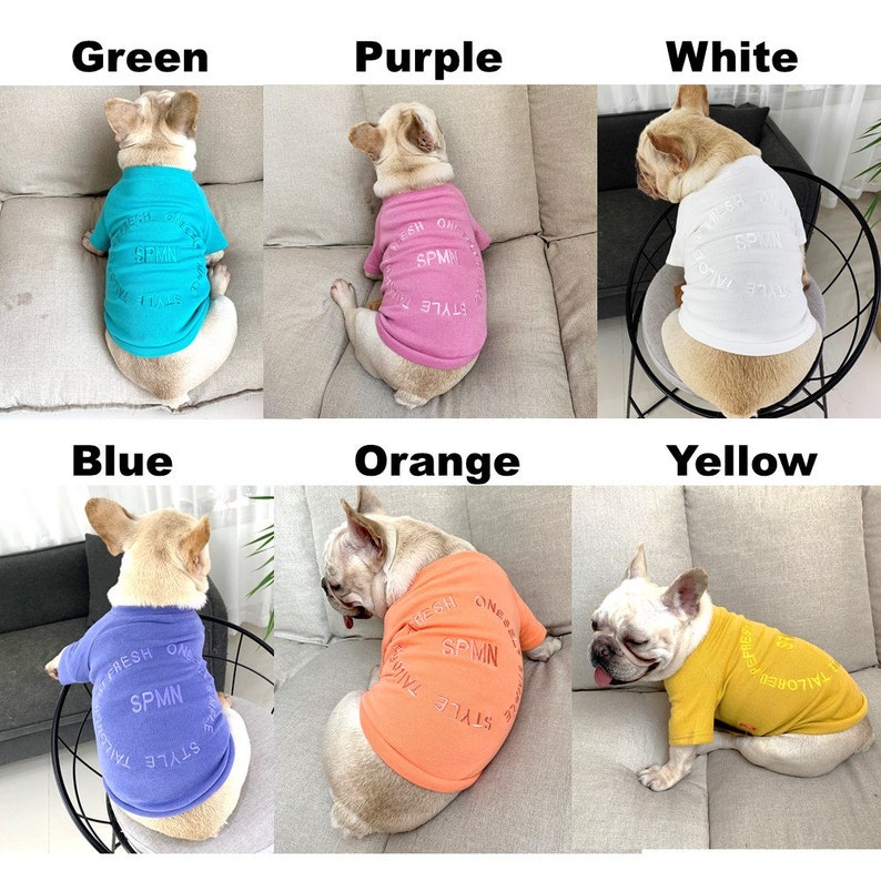 Pastel Colors Owner and Pet Matching Set