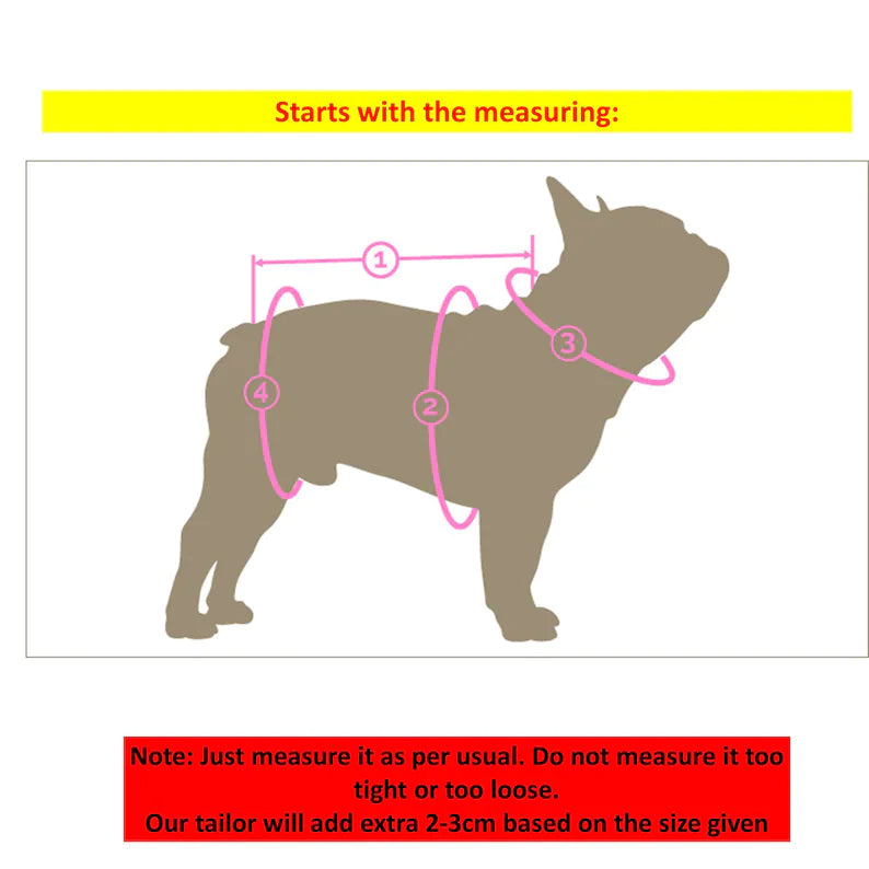 Tailor Made Dog Cat Pet Little Duck Ducking Hoodie with 3D Duck