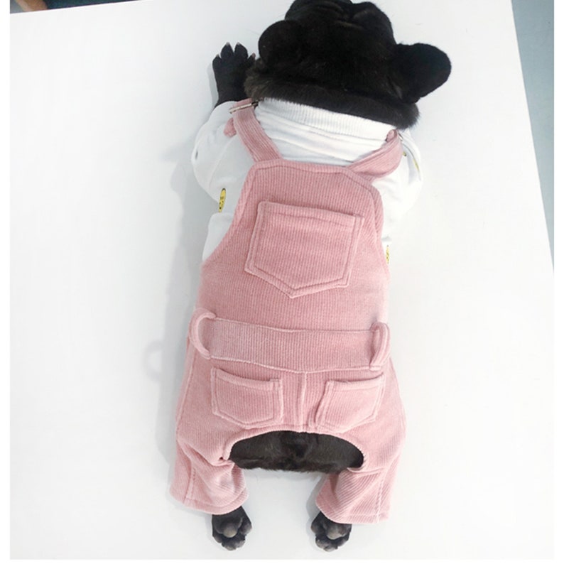 Pastel Painter Bid Overall Dungarees Cowboy Overalls