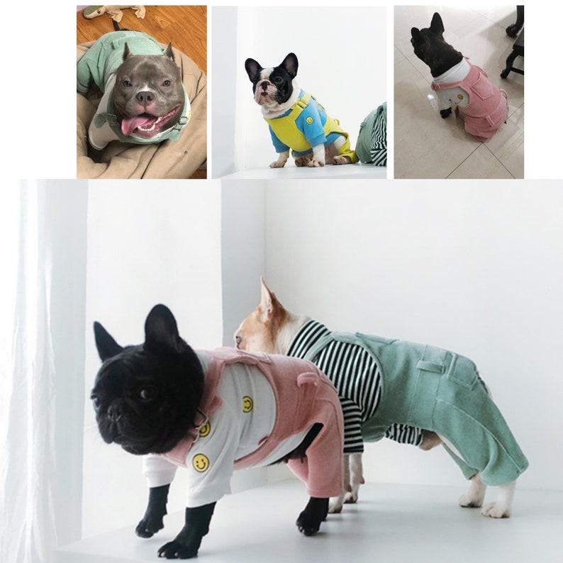 Pastel Painter Bid Overall Dungarees Cowboy Overalls