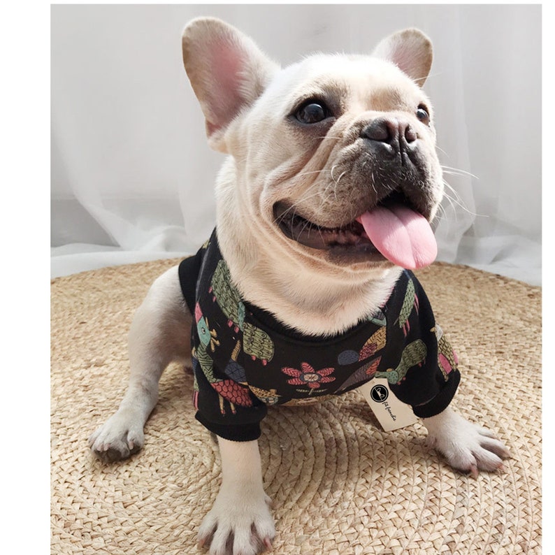 Matching Pet Owner Set, Pets Cat Dog Parent Long Sleeve Sweatshirt Fleece Animal Drawing Print Fits Small to Medium Pet Dog Cat