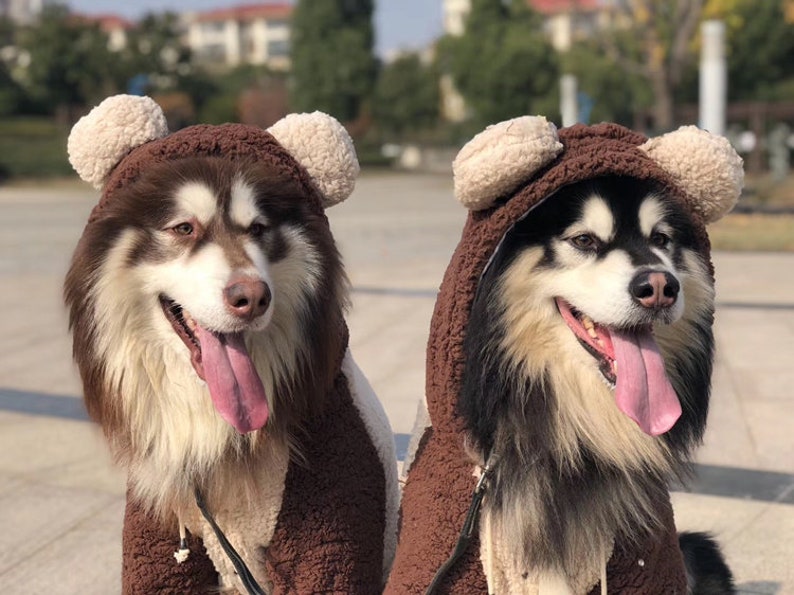 Teddy Bear Costume Hoodie for Big Dog