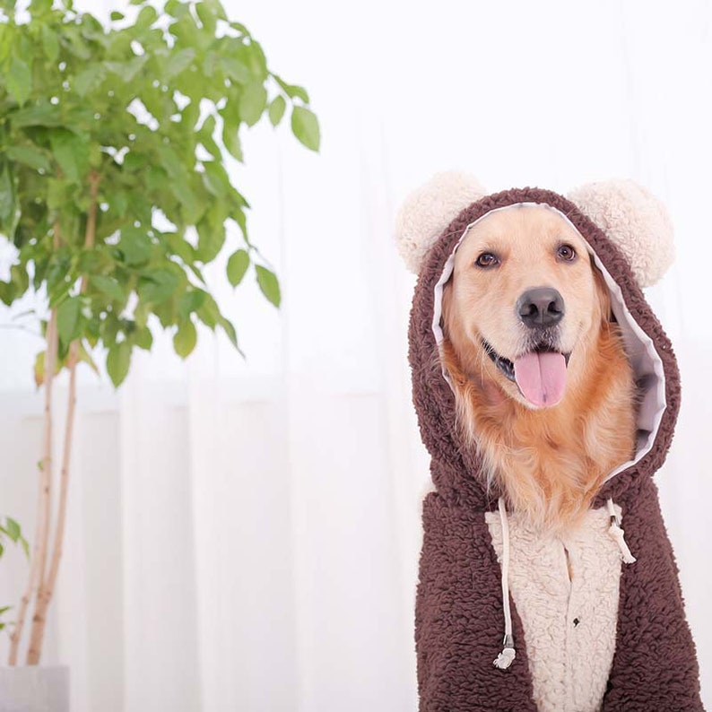 Teddy Bear Costume Hoodie for Big Dog