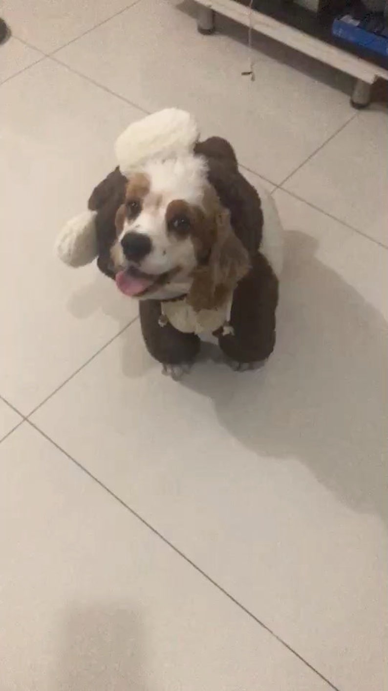 Teddy Bear Costume Hoodie for Big Dog