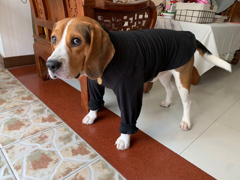 Basic Hipster White Black Steve Job Style Big Dog Turtle Neck Shirt