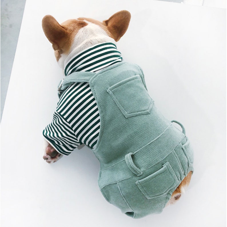 Pastel Painter Bid Overall Dungarees Cowboy Overalls