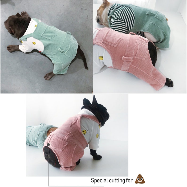 Pastel Painter Bid Overall Dungarees Cowboy Overalls
