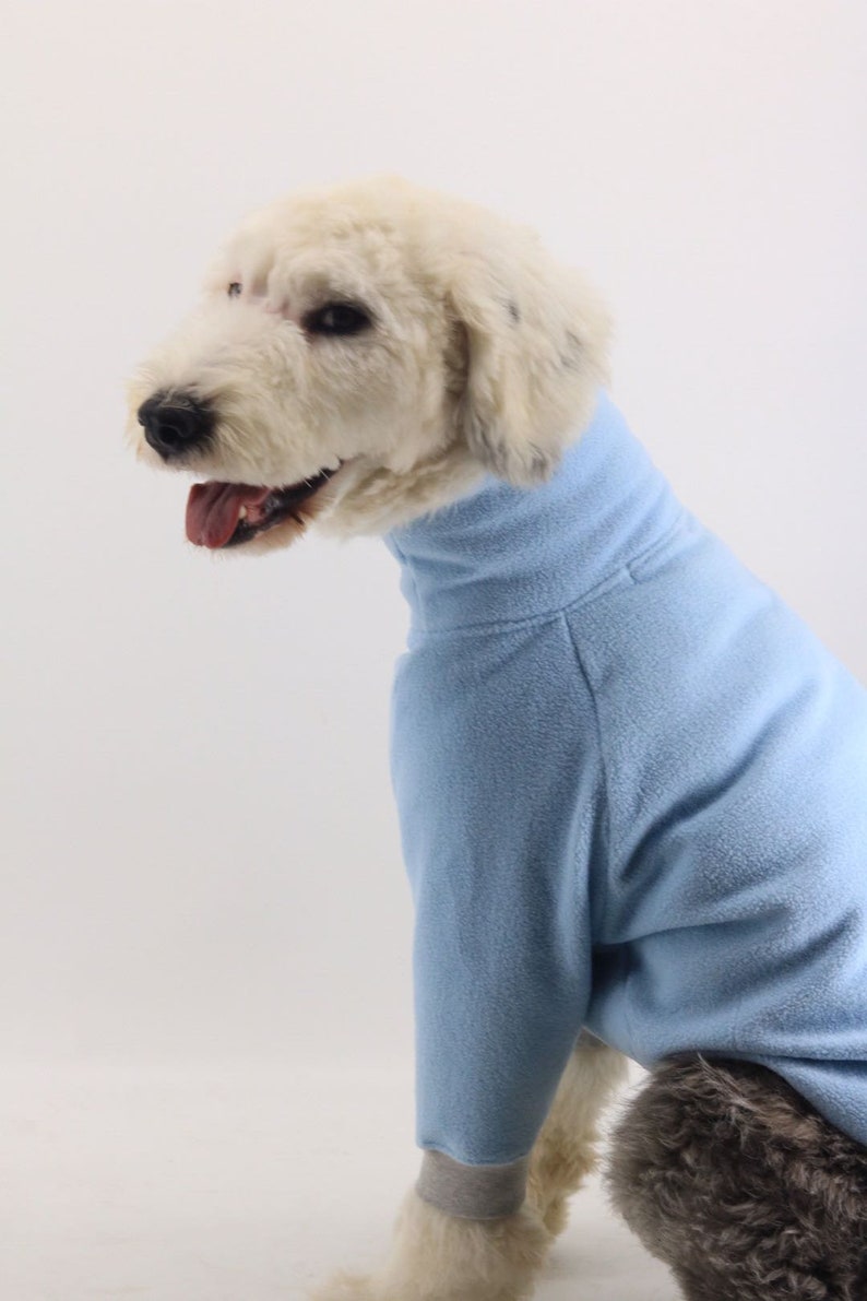 Basic Hipster Fleece Baby Blue Big Dog Turtle Neck