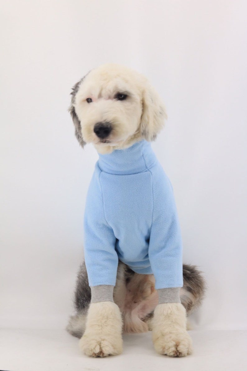Basic Hipster Fleece Baby Blue Big Dog Turtle Neck
