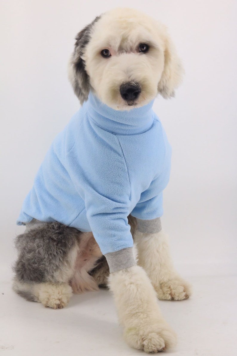 Basic Hipster Fleece Baby Blue Big Dog Turtle Neck
