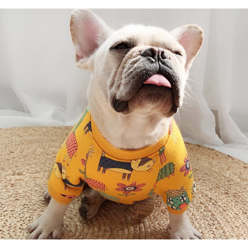 Matching Pet Owner Set, Pets Cat Dog Parent Long Sleeve Sweatshirt Fleece Animal Drawing Print Fits Small to Medium Pet Dog Cat