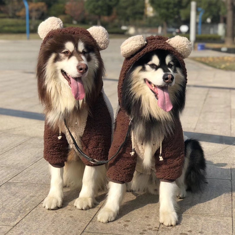 Teddy Bear Costume Hoodie for Big Dog