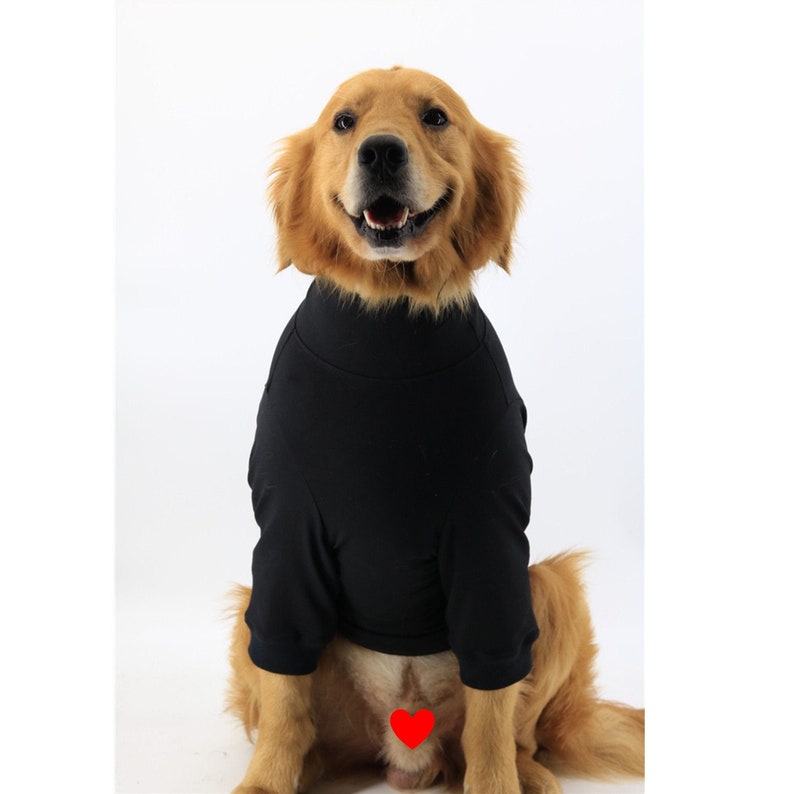 Basic Hipster White Black Steve Job Style Big Dog Turtle Neck Shirt