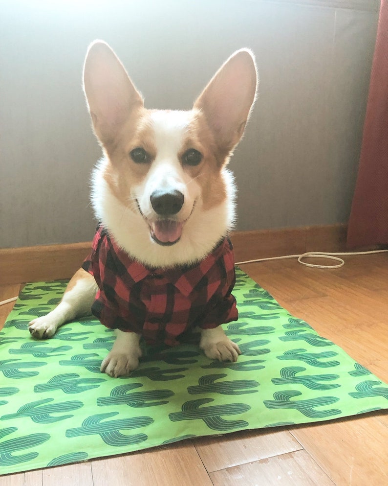 Plaid Gingham Flannel Button Shirt