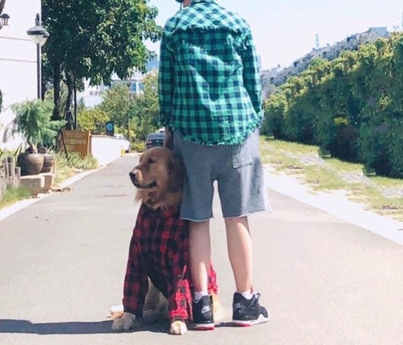 Plaid Gingham Flannel Button Shirt