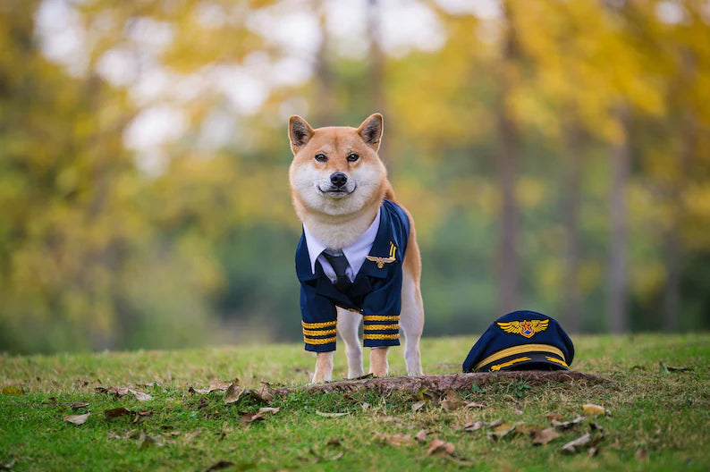 Pilot Captain Aviator Uniform Blazer Coat and Hat