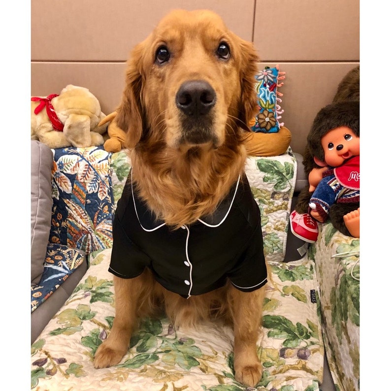 Satin Silk Feel Like Sleepwear Pajama