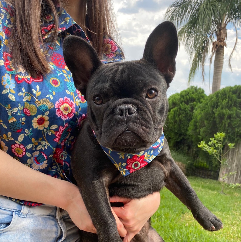 Tiki Bars Owner and Pet Matching Button Shirt / Bandana