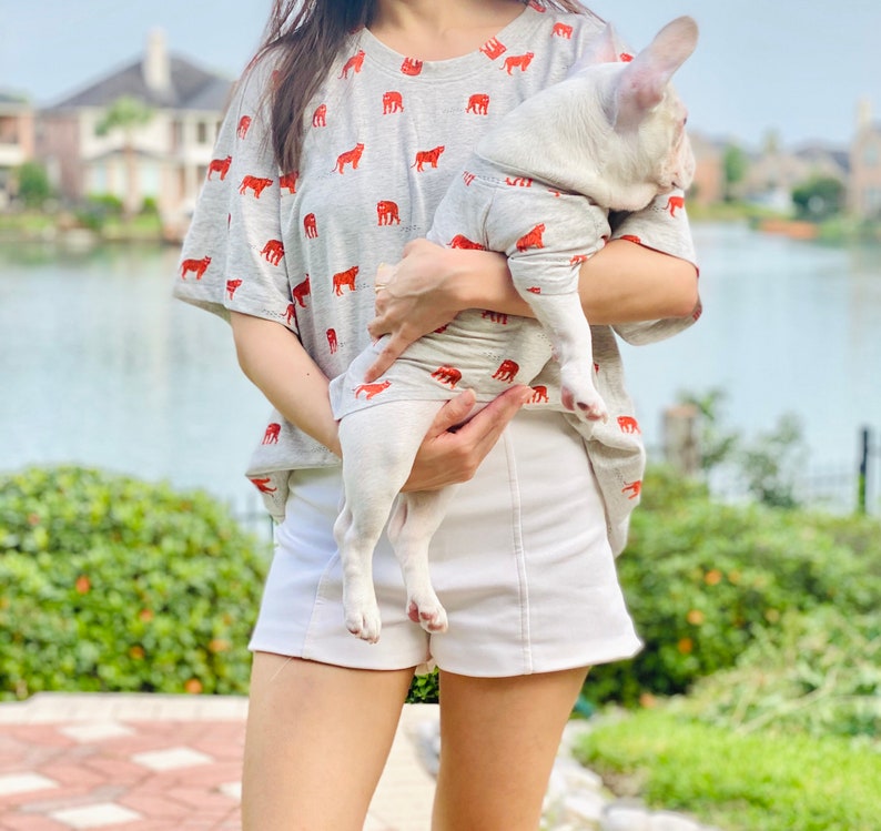 Tiger Print Owner an Pet Matching Set