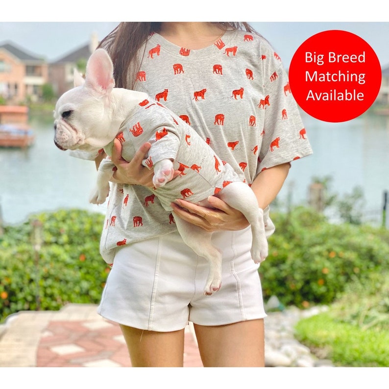 Tiger Print Owner an Pet Matching Set