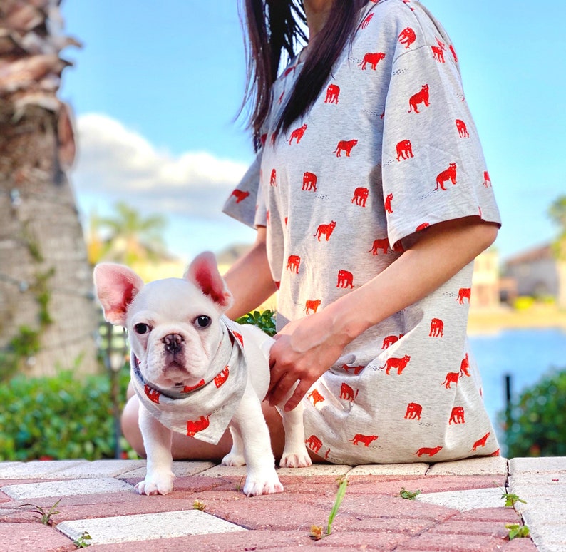 Tiger Print Owner an Pet Matching Set
