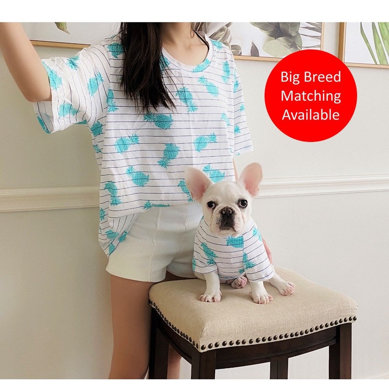 Pina Pineapple Owner and Pet Matching Bandana