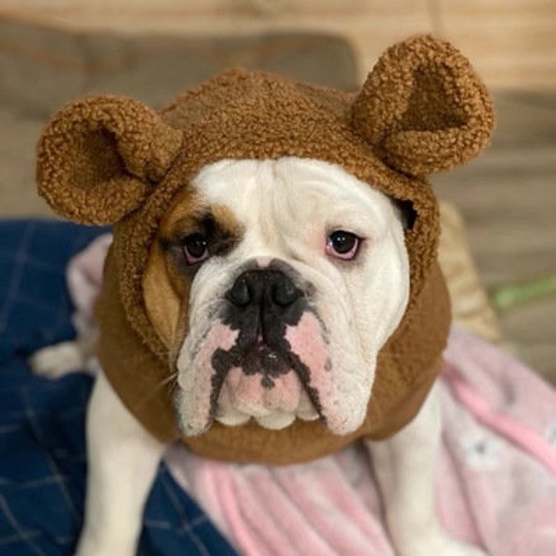 Teddy Bear 3D Ear Hoodie for Big Dog