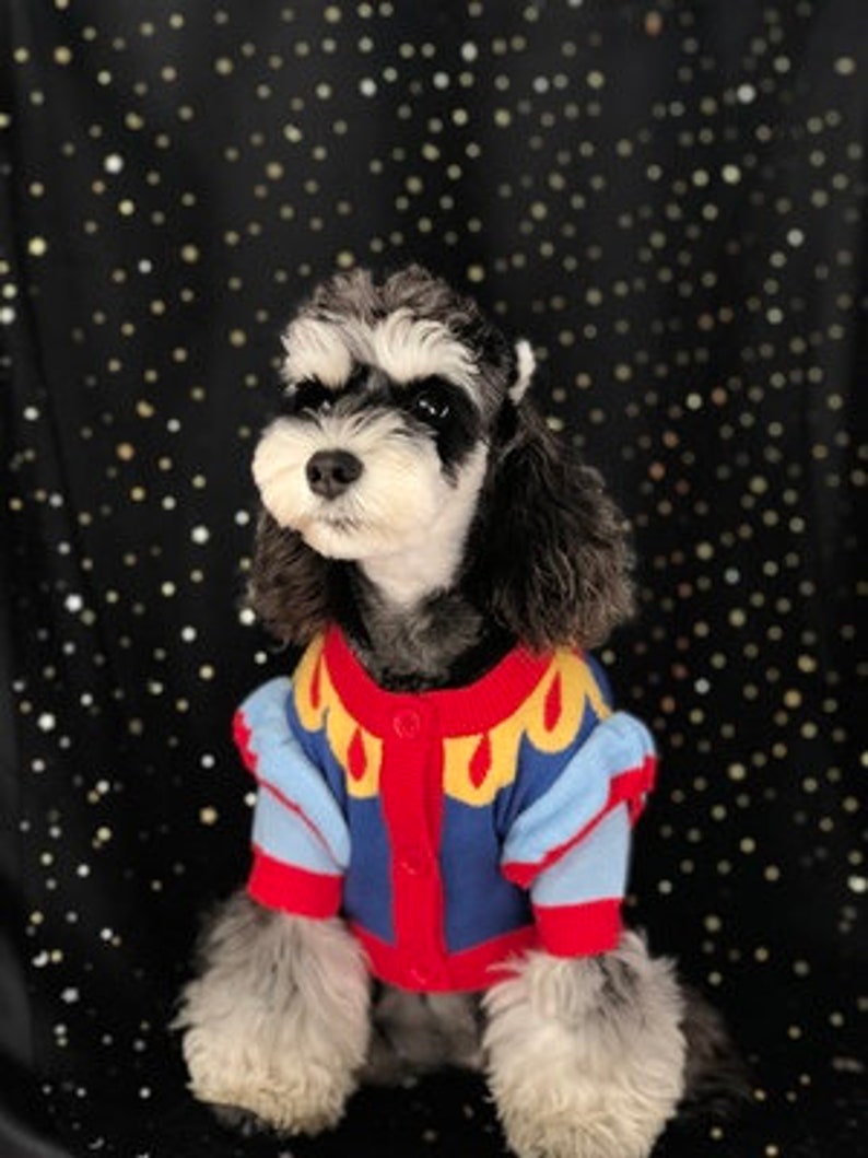 Snow White Princess Color block Cardigan