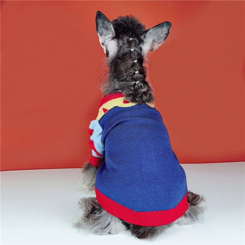 Snow White Princess Color block Cardigan