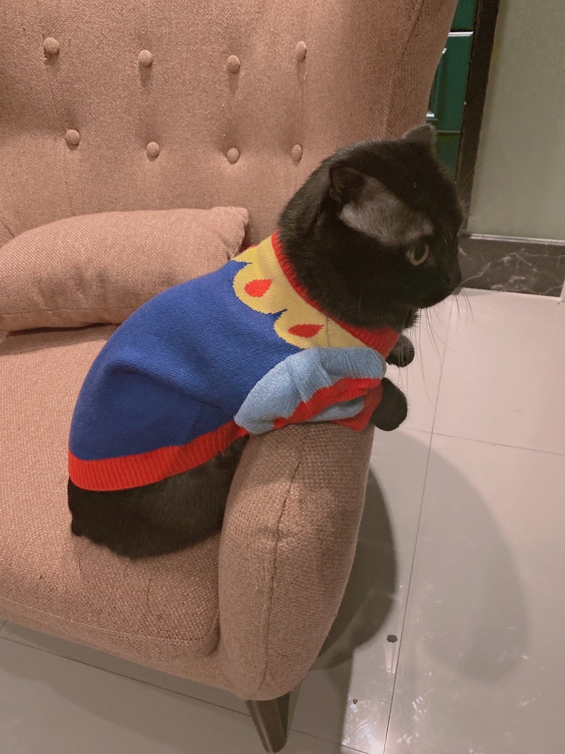 Snow White Princess Color block Cardigan