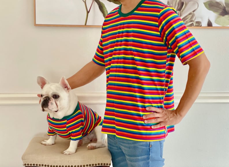 Rainbow Striped Owner and Pet Matching Set