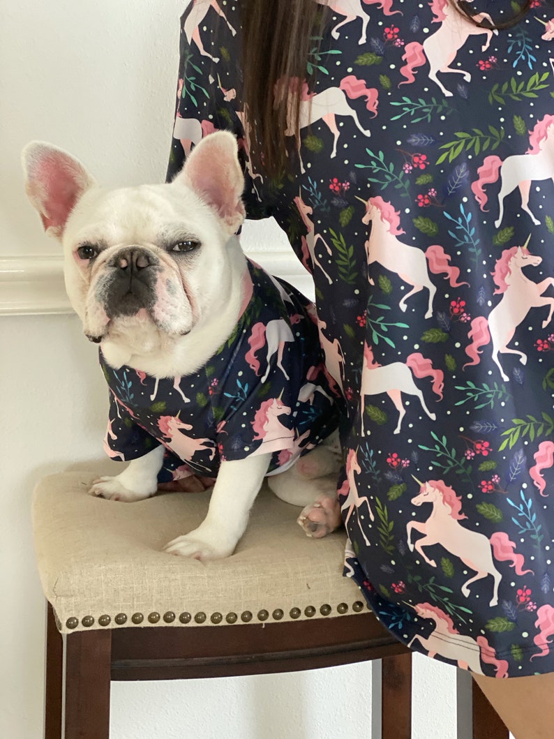 Magical Unicorn Owner and Pet Matching Set